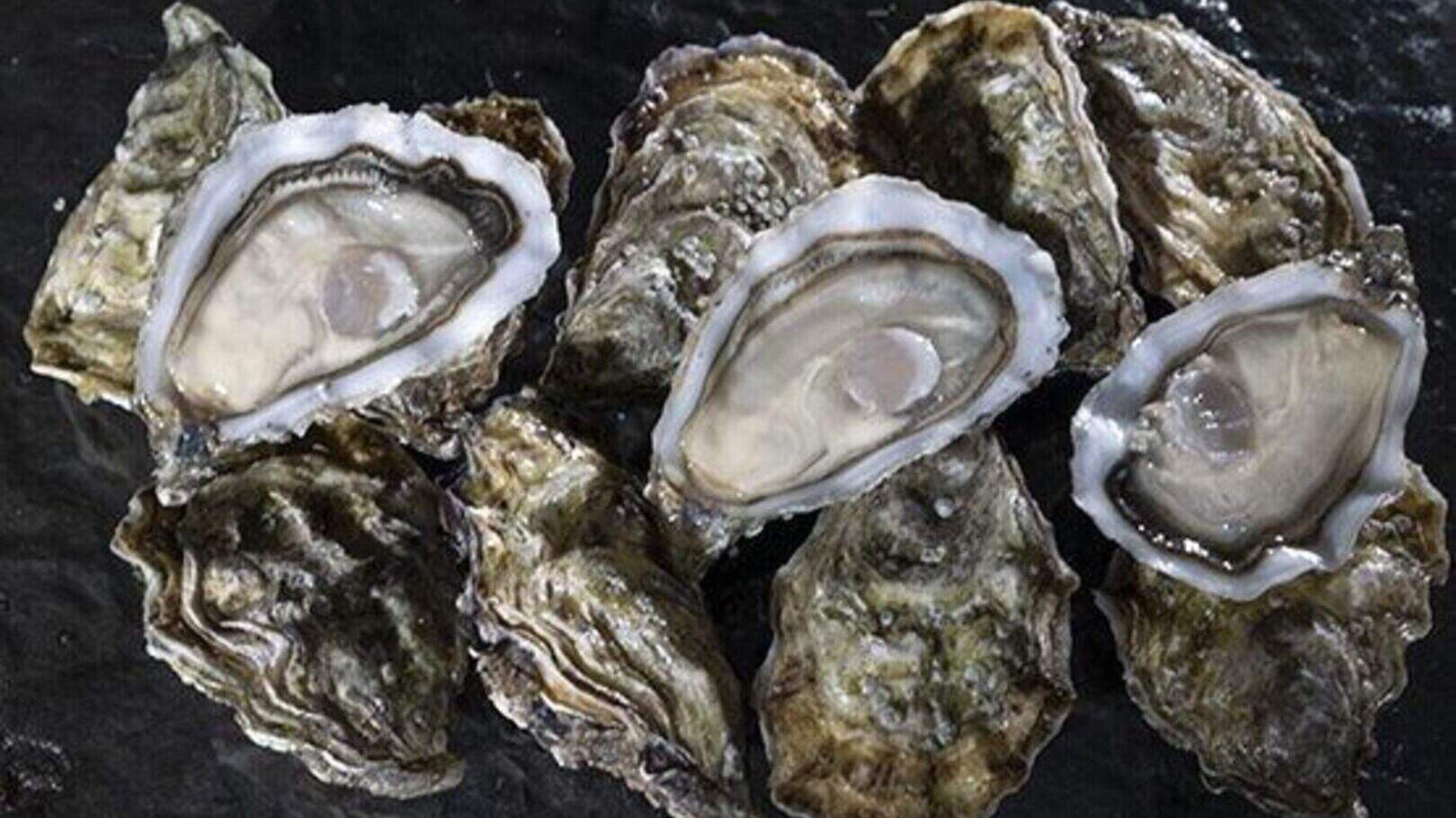 Mystery oyster deaths put €9m Dungarvan seafood industry under severe pressure